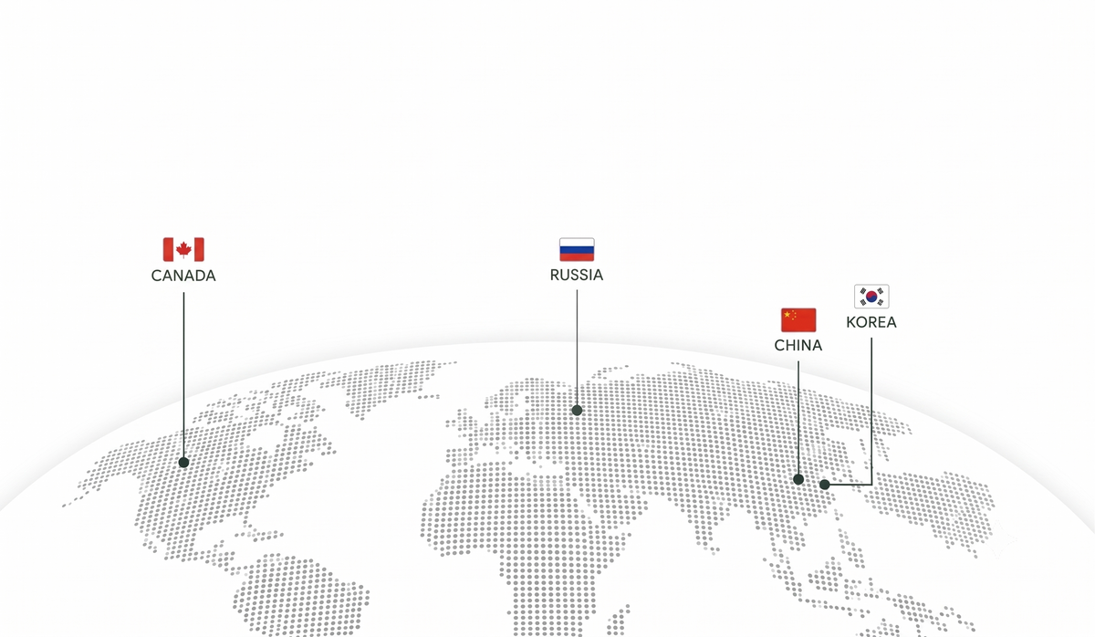 YOYE global network