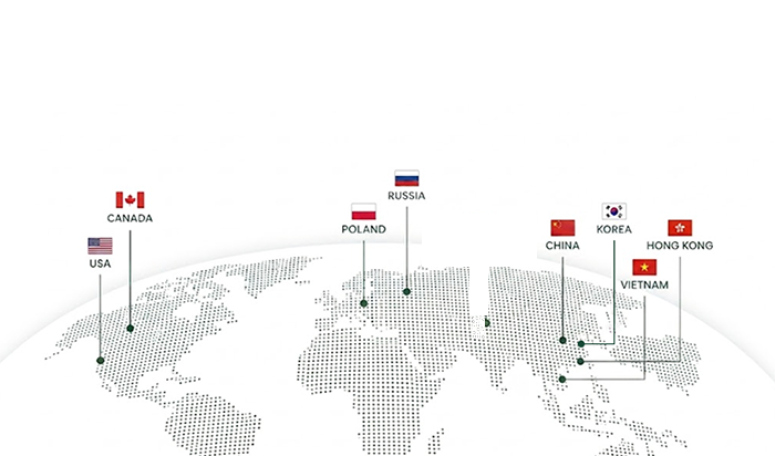 YOYE global network